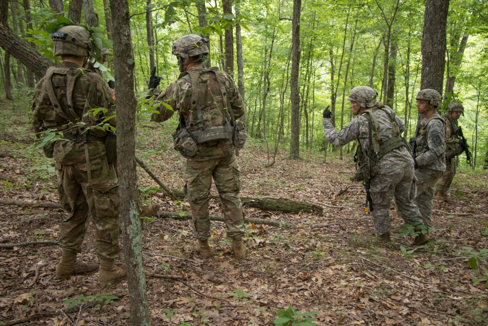 Communication During Grizzly Phase: The Bare Essentials